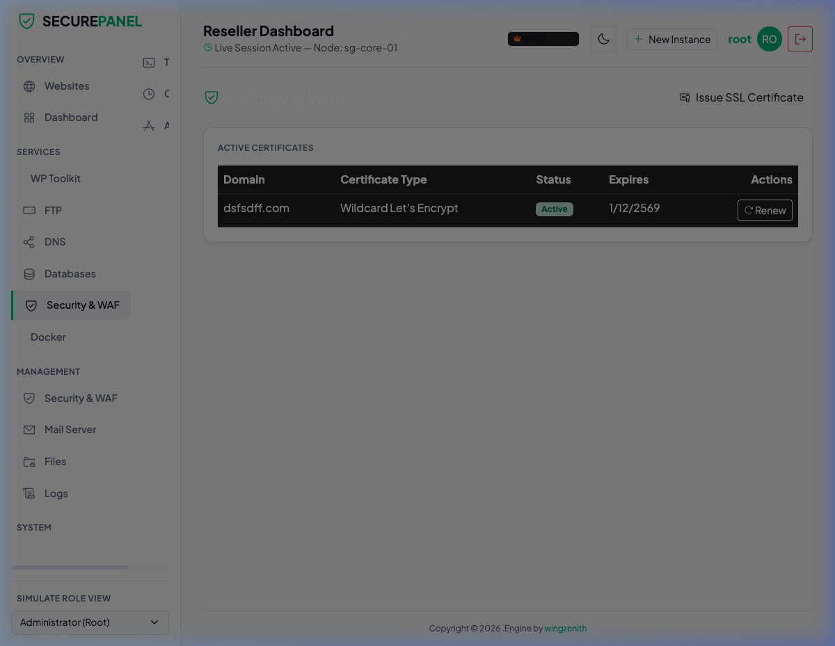 Wildcard SSL Certificates